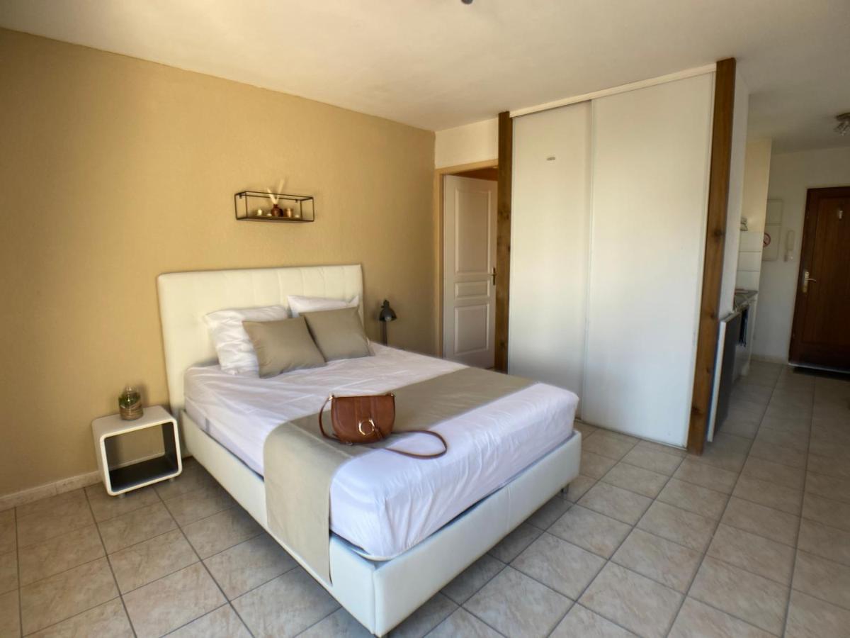 Studio Climatise Et Grande Terrasse Tarbes Centre Екстериор снимка
