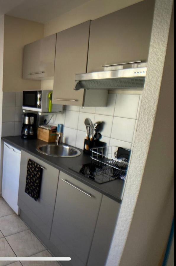 Studio Climatise Et Grande Terrasse Tarbes Centre Екстериор снимка